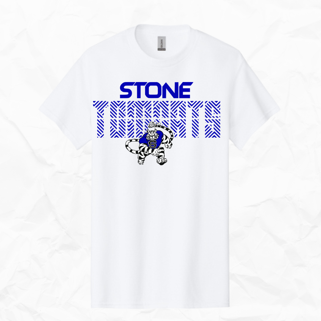 Geometric Tomcat